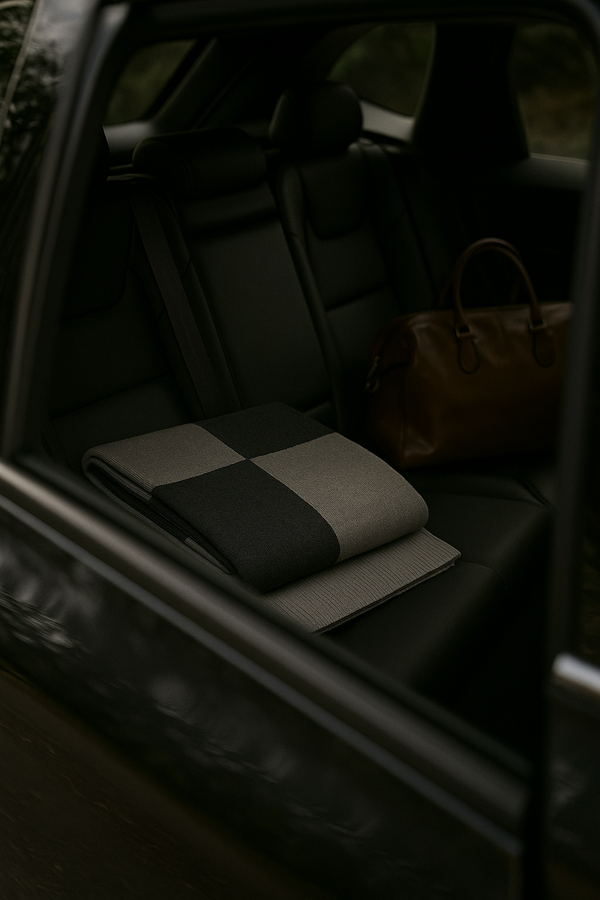 Car interior with a checkered blanket and brown bag on the back seat